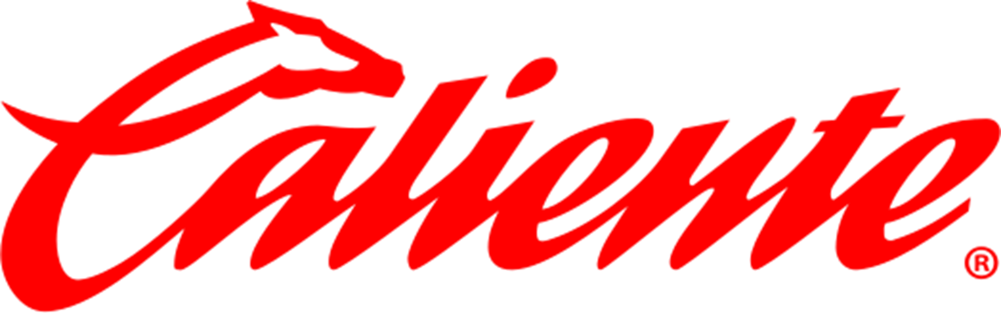 casinl.net Logo